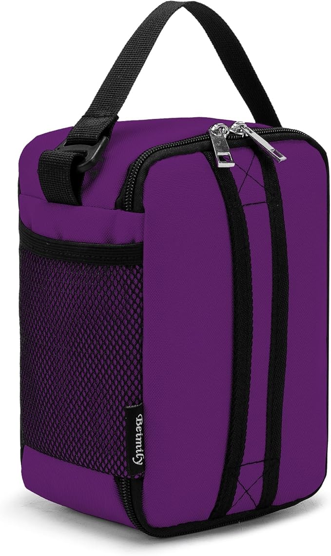 BEIMILY Lunch Box for Men Women Adults,Mini Insulated Lunch Bag for Office Work Picnic,Reusable Portable Lunchbox,Soft Cooler Tote Bag,6 can cooler bag,Mini,Dark Purple