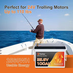 Techex 24V 100Ah LiFePO4 Battery, 100A BMS, 2560W Load Power, Low Temp Cut Off, Deep Cycle, 24V lithium battery for Trolling Motor, Boat, RV, Solar, Camping, Off Grid （No Bluetooth）
