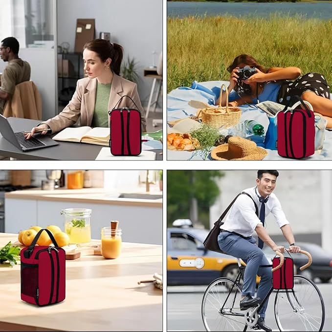 BEIMILY Lunch Box for Men Women Adults,Mini Insulated Lunch Bag for Office Work Picnic,Reusable Portable Lunchbox,Soft Cooler Tote Bag,6 can cooler bag,Mini,Red