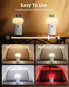 LED Rechargeable Camping Lantern with Hook - 6000mAh Emergency Outdoor Camping Lights, IPX5 Water Resistant Portable Tent Lights for Camping Hiking, Backpacking, Fishing, Outages (White 2pack)