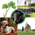 Heavy Duty Tree Stakes and Supports - 16" Spiral Metal Tree Stakes Kit - Reflective Nylon Rope - Thickened Straps - Quick Installation Stick - Chrome Finish