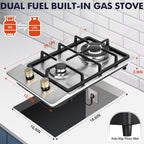 Llamaviva Gas Stove 12 Inch, Propane Cooktop 2 Burner, Portable Gas Cooktop Stainless Steel, Dual Fuel LPG/NG Convertible with Thermocouple Safety Protection for Kitchen, RV, Camping, Outdoor