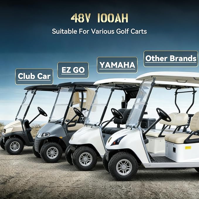 48V 100Ah LiFePO4 Golf Cart Battery | 51.2V 100Ah with 200A BMS | 10.24kW Max Power & 1000A Peak | Built-in LCD Display/APP Monitor & 58.4V 18A Charger | 8000+ Deep Cycles | For Golf Carts, RV, Solar