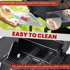 2-Burner Gas Grill with 234 SQ.IN. Outdoor Grill with 16,000 BTU,Propane Grills with Top Cover Lid,Grills Outdoor Cooking for Patios,Camping,Balcony-Q039