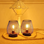 DECORKEY Set of 2 Rechargeable Lamp LED Table Lantern, Brown Metal Cage Cordless Lamps with LED Bulb，Vintage Decorative Outdoor Lantern for Weddings, Parties, Patio, Events for Indoors Shelf Decor