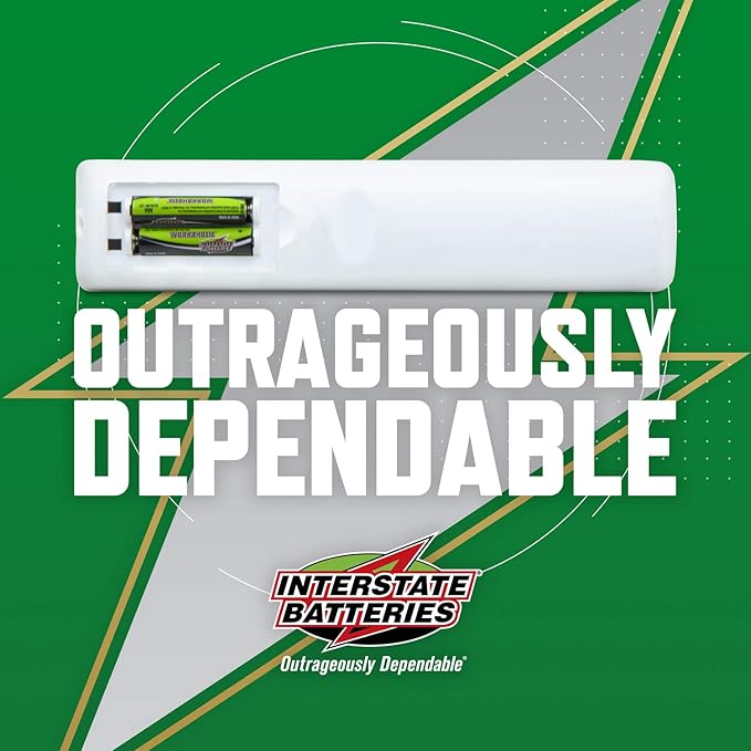Interstate Batteries AAA Alkaline Battery (48 Pack) All-Purpose 1.5V High Performance Battery - Workaholic (DRY7002)