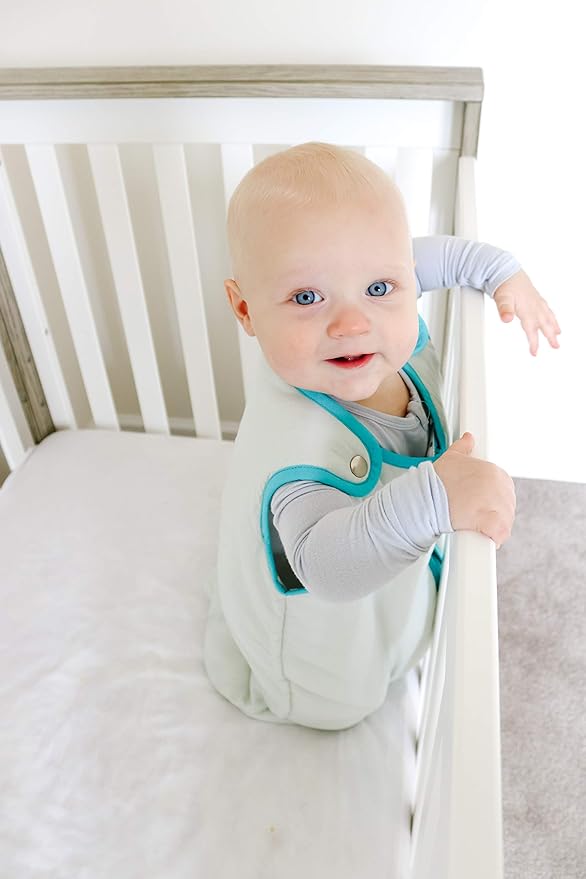 Baby Deedee Sleep Nest Sleeping Sack, Warm Baby Sleeping Bag fits Newborns and Infants,Medium (6-18 Months)