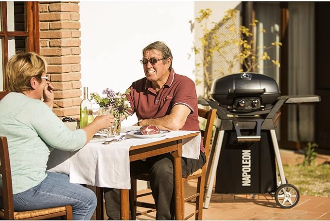 Napoleon TravelQ PRO285 Portable Natural Gas Grill, Black, 2 Burners, Tailgating, Camping, and Small Outdoor Spaces