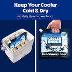 Cooler Shock Reusable Ice Packs for Cooler - Long Lasting Cold Freezer Packs for Coolers and Lunch Boxes - Cooler Ice Packs for Camping Gear, Fishing, Road Trips, Beach Must Haves