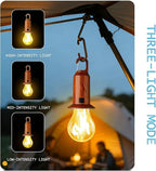 Solar Camping Lights USB Rechargeable Tent Hanging Light Bulb,Portable Outdoor Vintage LED Camping Light,Pendant Emergency Lighting Lantern for Hiking,Backpacking,Fishing,Emergency Outage(Spherical)