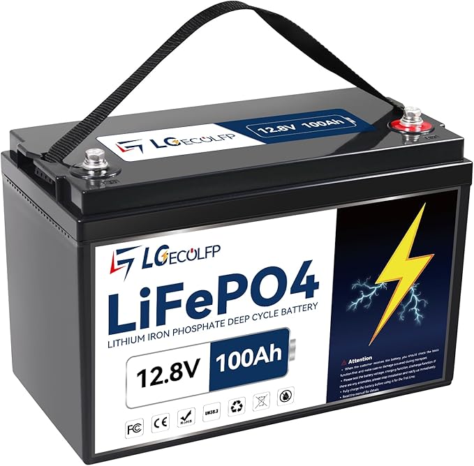 12V 100Ah LiFePO4 Lithium Battery Rechargeable Iron Phosphate Battery with 100A BMS Deep Cycle, Perfect for Boat Motor, Travel Trailer, RV, Marine, Solar, Lighting