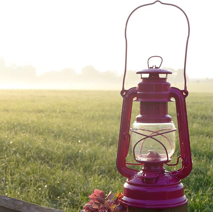 Feuerhand Outdoor Kerosene Fuel Lantern, German Made Weather Resistant Baby Special 276 Galvanized Hurricane Lamp for Camping or Patio, 10 Inches, Telemagenta
