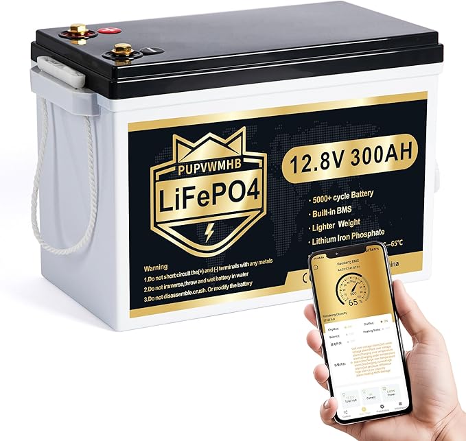 12V 300Ah LiFePO4 Lithium Battery, Bluetooth LifePO4 Battery, Upgraded 200A BMS, 3840Wh Rechargeable Lithium Battery with Low Temp Cut off, Perfect for RV Solar Marine Solar Panel Camping
