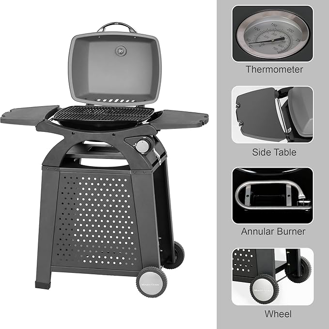 MASTER COOK Gas Grill with Side Tables - Portable Propane Gas Grill for Patio, Beach, Picnic, Outdoor Camping
