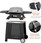 MASTER COOK Gas Grill with Side Tables - Portable Propane Gas Grill for Patio, Beach, Picnic, Outdoor Camping