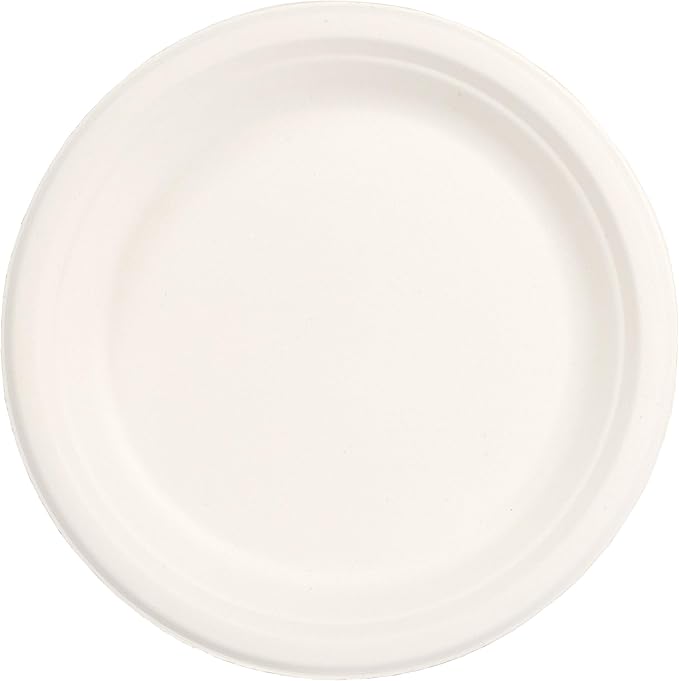 100% Compostable Natural Plant Fiber Plate, 9-Inch, 500-Count Case