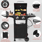 2-Burner Gas Grill with 234 SQ.IN. Outdoor Grill with 16,000 BTU,Propane Grills with Top Cover Lid,Grills Outdoor Cooking for Patios,Camping,Balcony-Q039