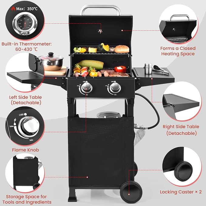 2-Burner Gas Grill with 234 SQ.IN. Outdoor Grill with 16,000 BTU,Propane Grills with Top Cover Lid,Grills Outdoor Cooking for Patios,Camping,Balcony-Q039