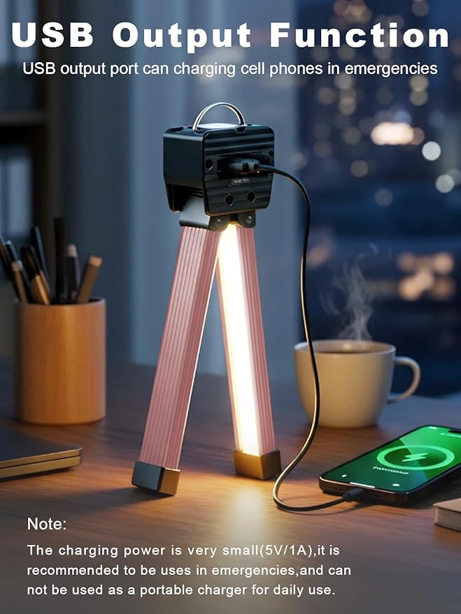 Gym Lamp, Portable Gym Lighting for Posing, Magnetic Work Light with Portable Charger, Gift for Men/Women, 180° Rotate Foldable with Hang Hook Camping Lamp, LED Handheld Flashlight-Rose