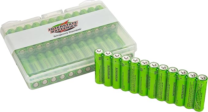 Interstate Batteries AAA Alkaline Battery (48 Pack) All-Purpose 1.5V High Performance Battery - Workaholic (DRY7002)