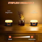 Rechargeable LED Camping Lantern, 300H Runtime, 6400mAh, IPX5 Waterproof Tent Light for Camping, Hiking, Power Outages, Home, Emergency - Standard Edition,Orange