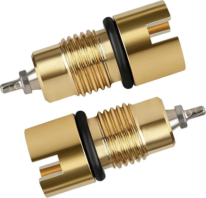 Upgraded Check Valve Replacement Compatible with Coleman Lantern & Stove Parts – Camping Lantern Accessories, Brass Pump Repair Kit - 2 Pcs