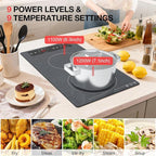 Double Induction Cooktop 110v-120v, GTKZW 2300W Electric Cooktop 20 inch Hot Plate Electric Stove Top with Plug in, Built-in and Countertop, 9 Power Levels, Timer & Safety Lock