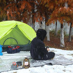 RedSwing 4 Pack Emergency Blankets, Waterproof Survival Thermal Tarp, Multipurpose Reflective Insulated All Weather Blankets for Camping Hiking, Orange