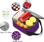 BEIMILY Lunch Box for Men Women Adults,Mini Insulated Lunch Bag for Office Work Picnic,Reusable Portable Lunchbox,Soft Cooler Tote Bag,6 can cooler bag,Mini,Dark Purple