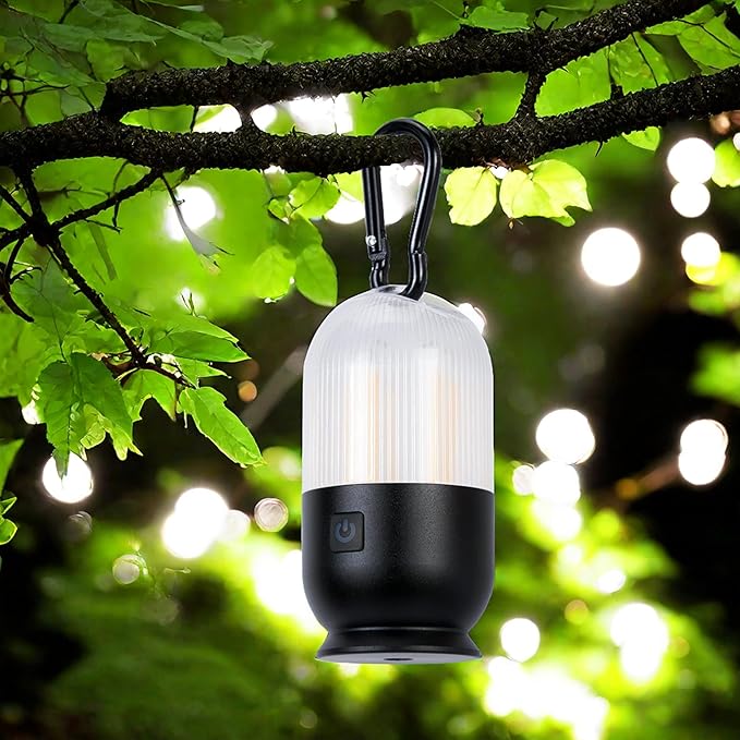 2 Pcs Tent Light for Camping Hanging,4 Lighting Modes Camp Light,Aluminum Alloy Tent Lights for Camping,Rechargeable Mini Camping Lantern for Backpacking,Power Outages,Hiking