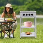 4 Burner Gas Stove Portable Outdoor Stove with Removable Storage Stand for Camping Picnic Home RV Cooking