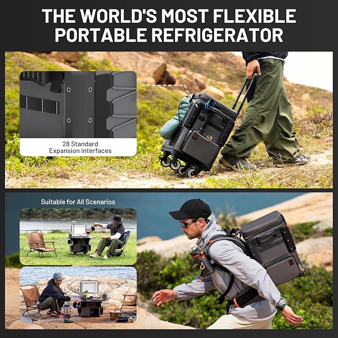 LiTHELi FrozenPack Wild 12V Car Refrigerator & Portable Electric Cooler, 20L/21QT with 2 U20 Batteries, Backpack Design, -4~68℉ Travel Fridge Freezer for Camping, Road Trips, RV, Boat&Beach