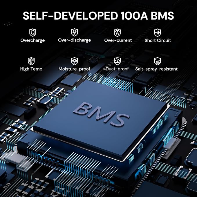 24V 100Ah LiFePO4 Lithium Battery, 2560Wh Large Capacity with Smart 100A BMS, 4000+ Deep Cycle, 10-Year Lifetime, Supports 4P2S Connection Up to 20.48kWh, Perfect for RV, Solar System, Marine