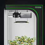 MELONFARM 6" Air Carbon Filter Smelliness Control with Australia Virgin Charcoal, Odor Removal Carbon Filter for Grow Tent, Inline Fan, Hydroponics, Pre-Filter Included, Insulated Flange 6" x 11.8"