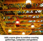 Feuerhand Outdoor Kerosene Fuel Lantern, German Made Weather Resistant Baby Special 276 Galvanized Hurricane Lamp for Camping or Patio, 10 Inches, Unpainted