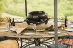 Napoleon PRO285-BK Portable Propane Grill, Black