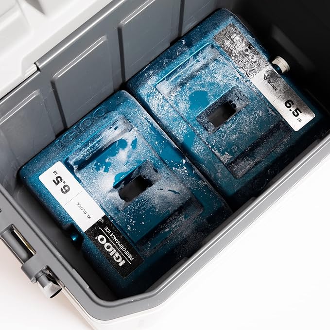 Igloo Performance Ice Block