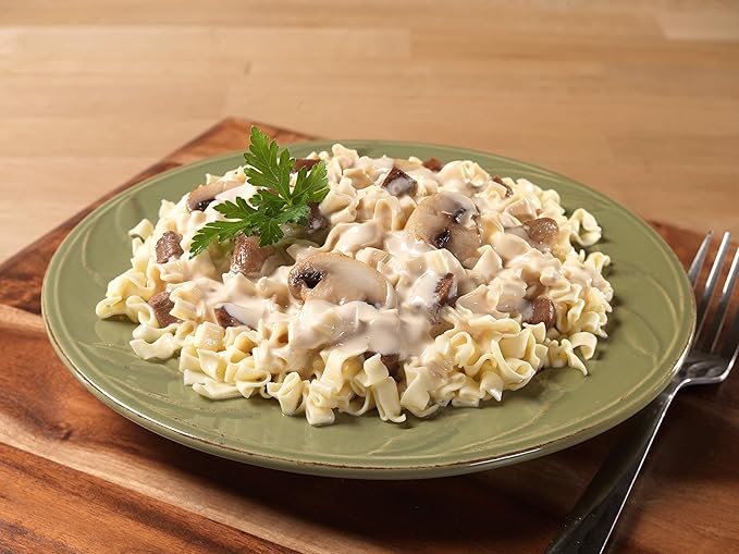 Mountain House Beef Stroganoff with Noodles | Freeze Dried Backpacking & Camping Food