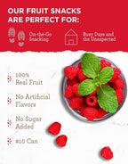 READYWISE - Simple Kitchen Freeze Dried Raspberries, 22 Servings, Vegan, Gluten Free, Healthy Snack, Survival Food, Dried Fruit, Raspberries
