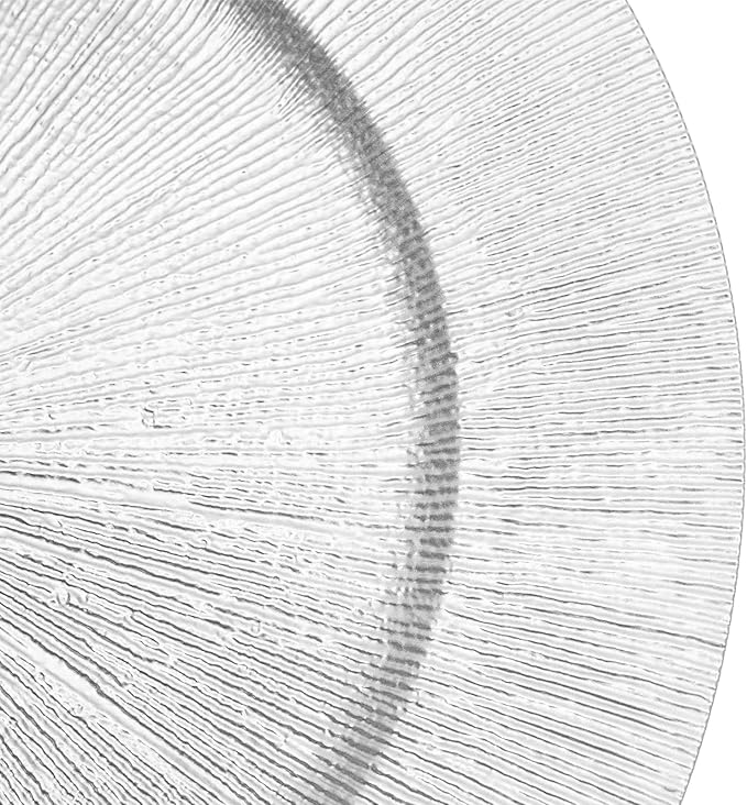 DYRABREST 50 Pcs 13 Inch Charger Plates, Bulk Round Charger Plates Plastic Wedding Dinner Elegant Reusable for Table Setting Wedding Party Event Tabletop Setting Decor (Silver)