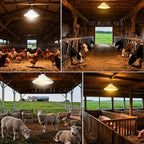 Solar Chicken Coop Light with Timer | Three-Color Dimmable LED, IP66 Waterproof Hanging Ceiling Pendant Light Suitable for Poultry Farms,Coops,Patio,Camping,Garage etc (White)