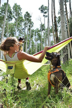 ENO, Eagles Nest Outfitters SingleNest Lightweight Camping Hammock