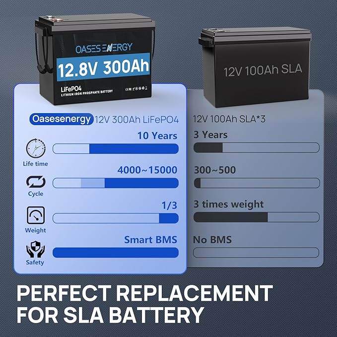 12V 300Ah LiFePO4 Battery, Mini Size, Built-in 200A BMS, Deep Cycle, Low Temperature Cut-Off, Lithium Trolling Motor Battery, Designed for RV, Camping, Marine and Solar