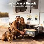 Power Queen 12V 300Ah LiFePO4 Battery, 3840Wh Lithium Battery with 2560W Power Output, Up to 15000+ Deep Cycles, BMS Protections for Solar, RV Motorhome, Marine, Off-Grid
