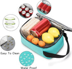 BEIMILY Lunch Box for Men Women Adults,Mini Insulated Lunch Bag for Office Work Picnic,Reusable Portable Lunchbox,Soft Cooler Tote Bag,6 can cooler bag,Mini,Light blue green