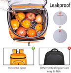 FORICH Soft Cooler Backpack Insulated Waterproof Backpack Cooler Bag Leak Proof Portable Small Cooler Backpacks to Work Lunch Travel Beach Camping Hiking Picnic Fishing Beer for Men Women