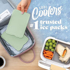 Cool Coolers by Fit & Fresh XL Slim Ice Packs, Quick Freeze Reusable Ice Packs for Lunch Boxes & Coolers, Long-Lasting, Space Saving Cooler Ice Packs, Sage, 4Pk