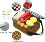 BEIMILY Lunch Box for Men Women Adults,Mini Insulated Lunch Bag for Office Work Picnic,Reusable Portable Lunchbox,Soft Cooler Tote Bag,6 can cooler bag,Mini,Brown