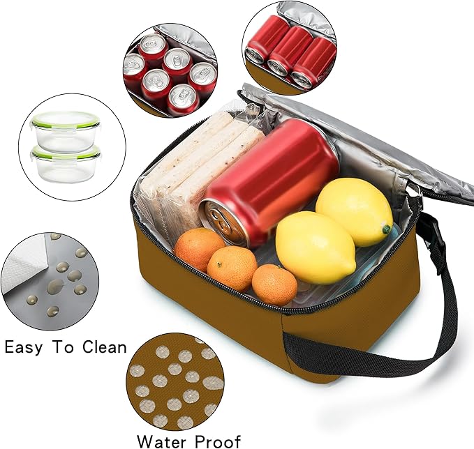 BEIMILY Lunch Box for Men Women Adults,Mini Insulated Lunch Bag for Office Work Picnic,Reusable Portable Lunchbox,Soft Cooler Tote Bag,6 can cooler bag,Mini,Brown