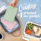 Cool Coolers by Fit & Fresh XL Slim Ice Packs, Quick Freeze Reusable Ice Packs for Lunch Boxes & Coolers, Long-Lasting, Space Saving Cooler Ice Packs, Multicolor, 4Pk